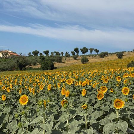 Girasole Apartment San Marcello  Bagian luar foto