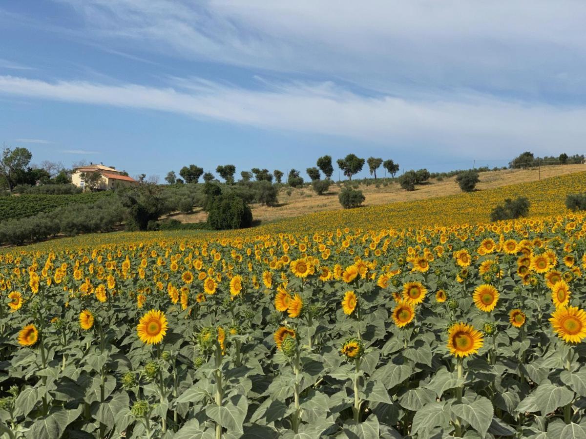 Girasole Apartment San Marcello  Bagian luar foto